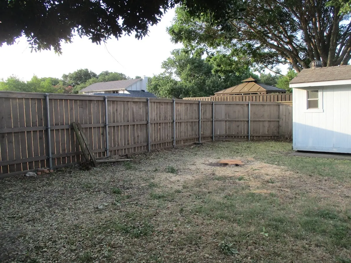 Cleared yard after professional tree removal in Paynesville