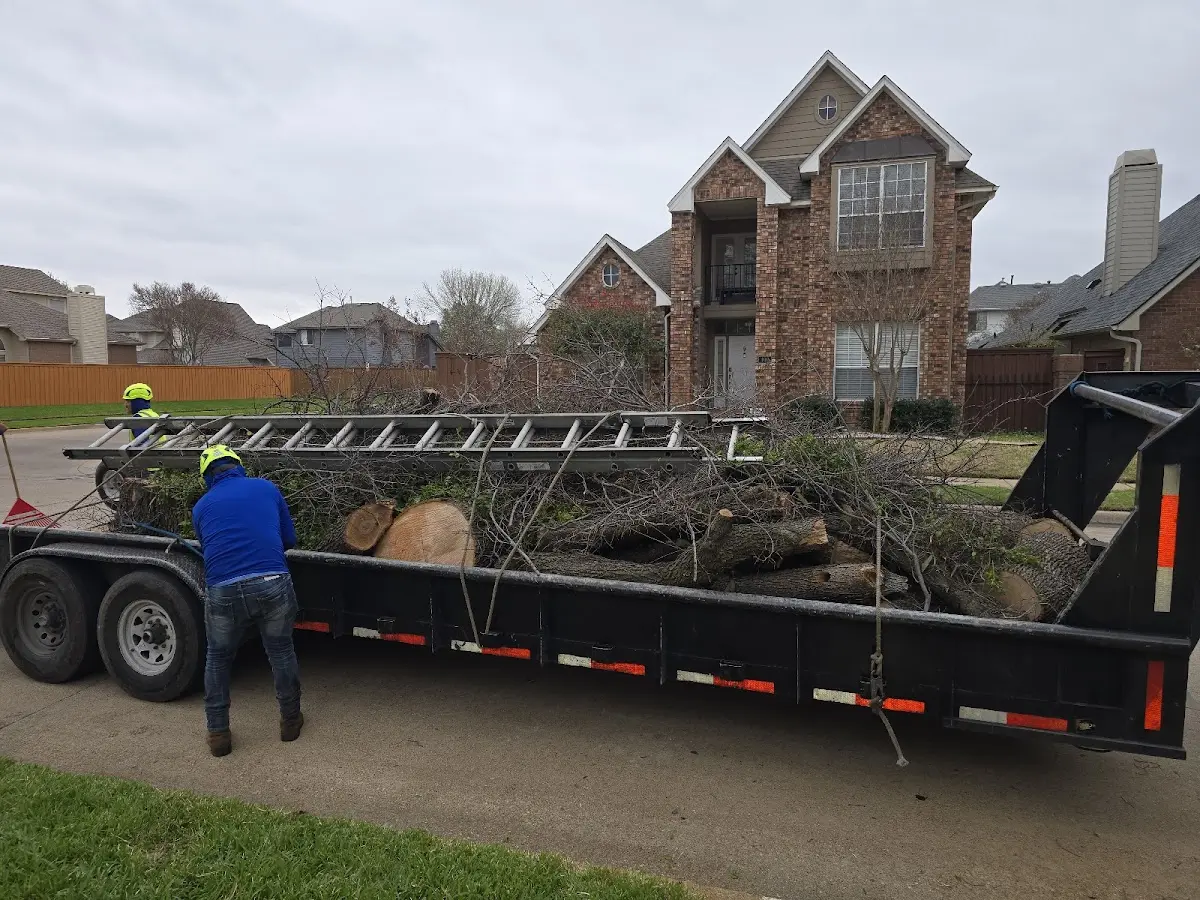Expert Tree Fertilization with proper safety equipment in Paynesville
